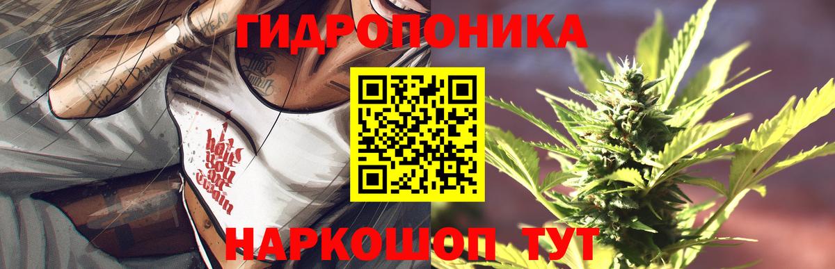 Марихуана гибрид  Вход с VPN  Асино  Бошки марихуана марихуана 